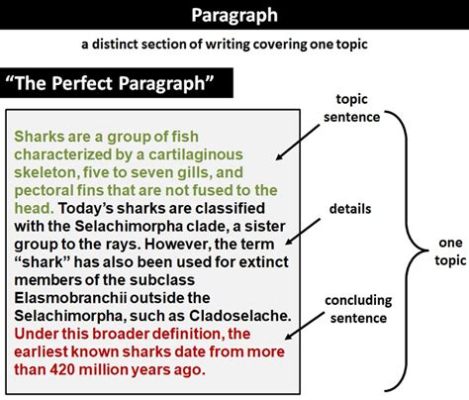 Can an essay be one paragraph, and does the length of a paragraph determine the depth of thought?